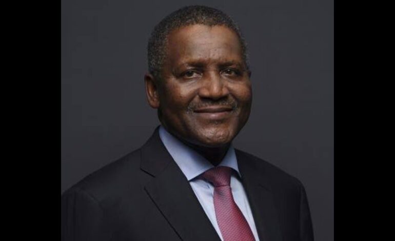Dangote Reveals plan to Build Largest Seaport in Ogun State, Nigeria